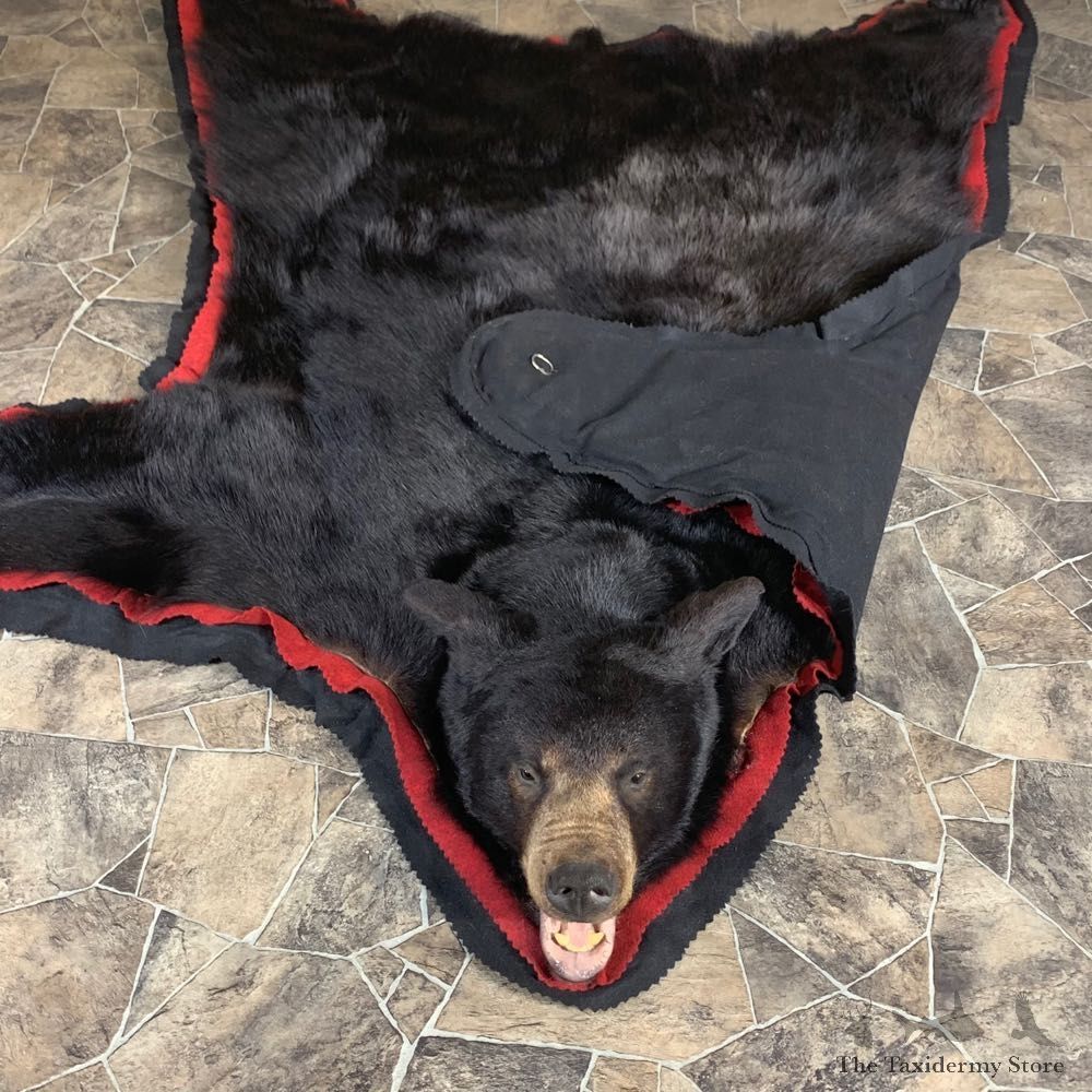 Black Bear Full-Size Rug For Sale #24003 @ The Taxidermy Store