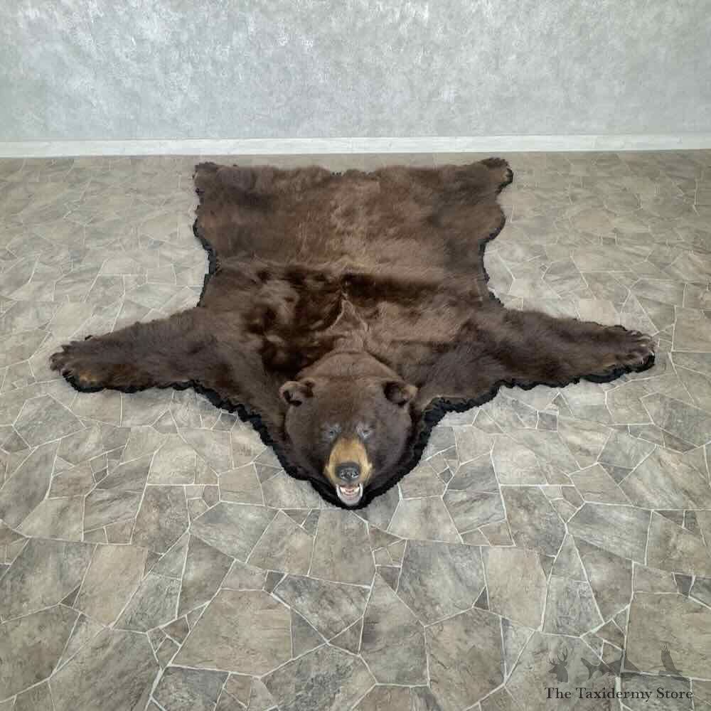 Chocolate Black Bear Full-Size Rug For Sale #31036 @ The Taxidermy Store