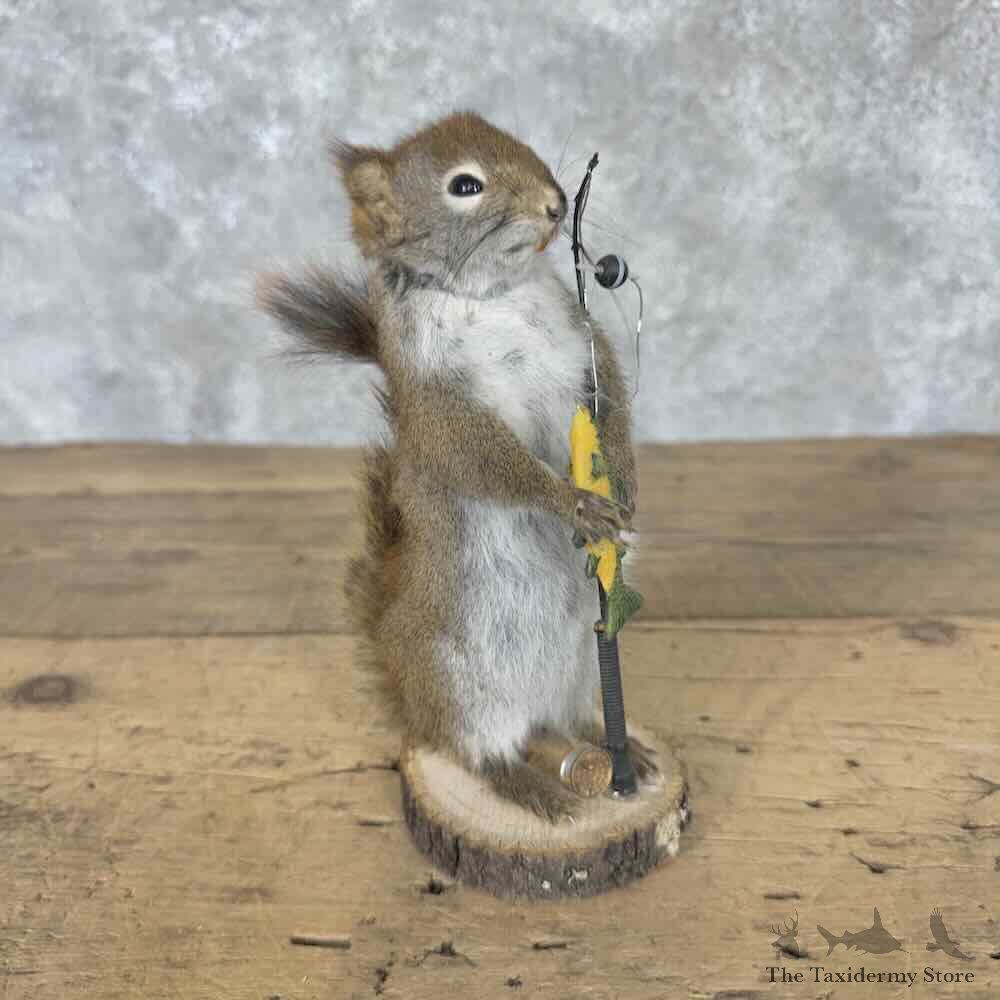 Fishing Red Pine Squirrel Novelty Mount For Sale #31620 @ The Taxidermy Store
