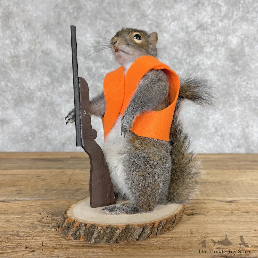 Hunting Squirrel Novelty Mount For Sale #28616 @ The Taxidermy Store