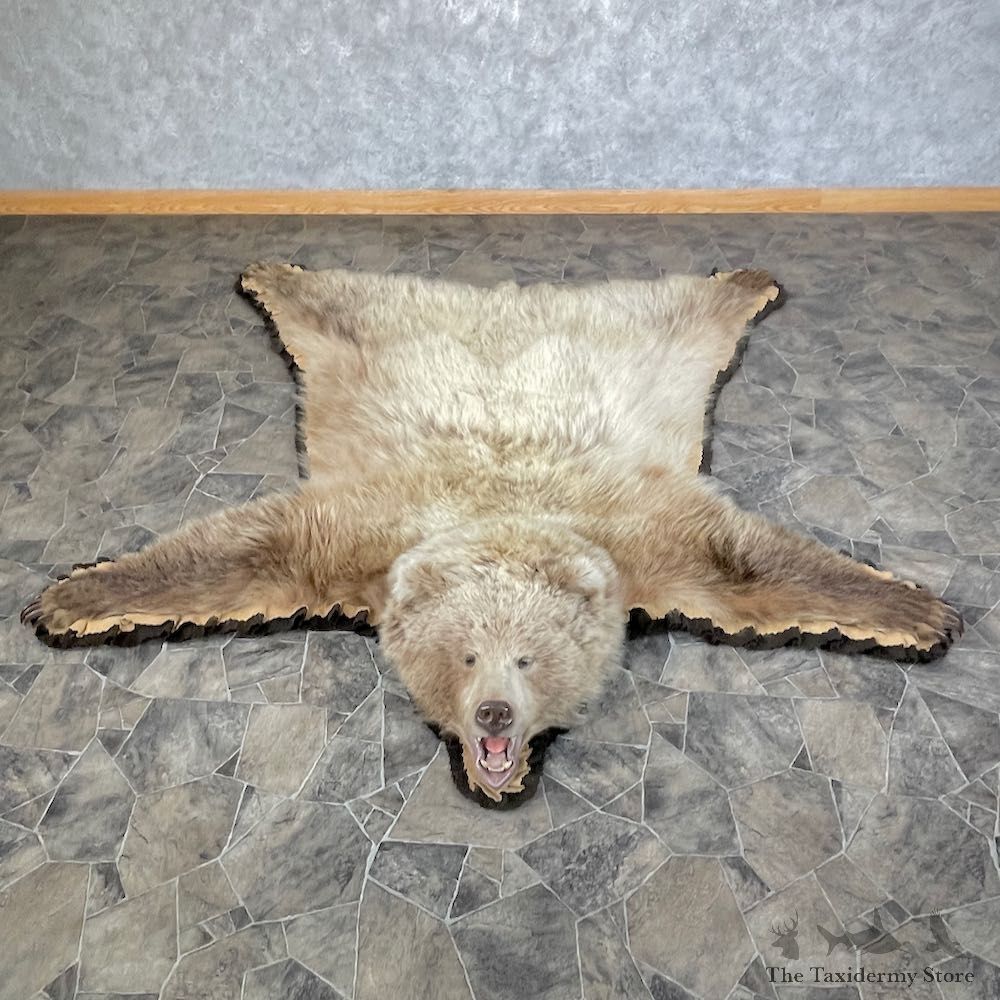Grizzly Bear Taxidermy Rug Mount For Sale #26303 @ The Taxidermy Store