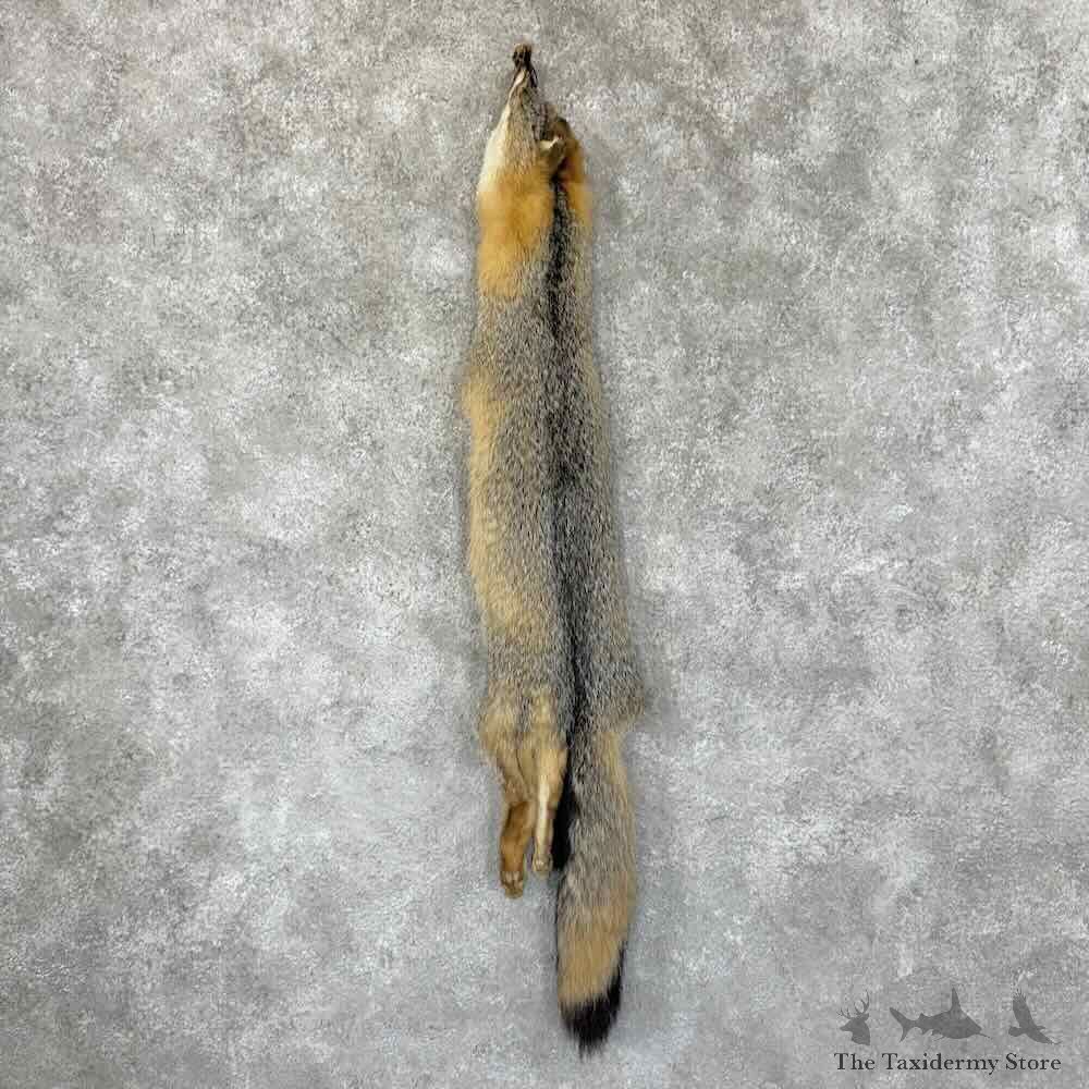 Grey Fox Tanned Hide For Sale #30960 @ The Taxidermy Store