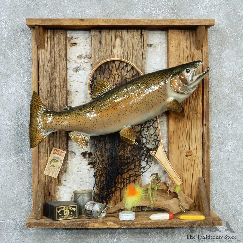 Captain's Classic Rainbow Trout Display Taxidermy Mount #13302 For Sale @ The Taxidermy Store