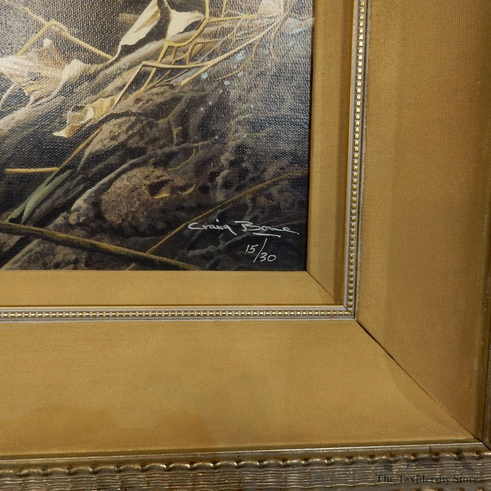 Leopard Pair Print For Sale #15754 @ The Taxidermy Store