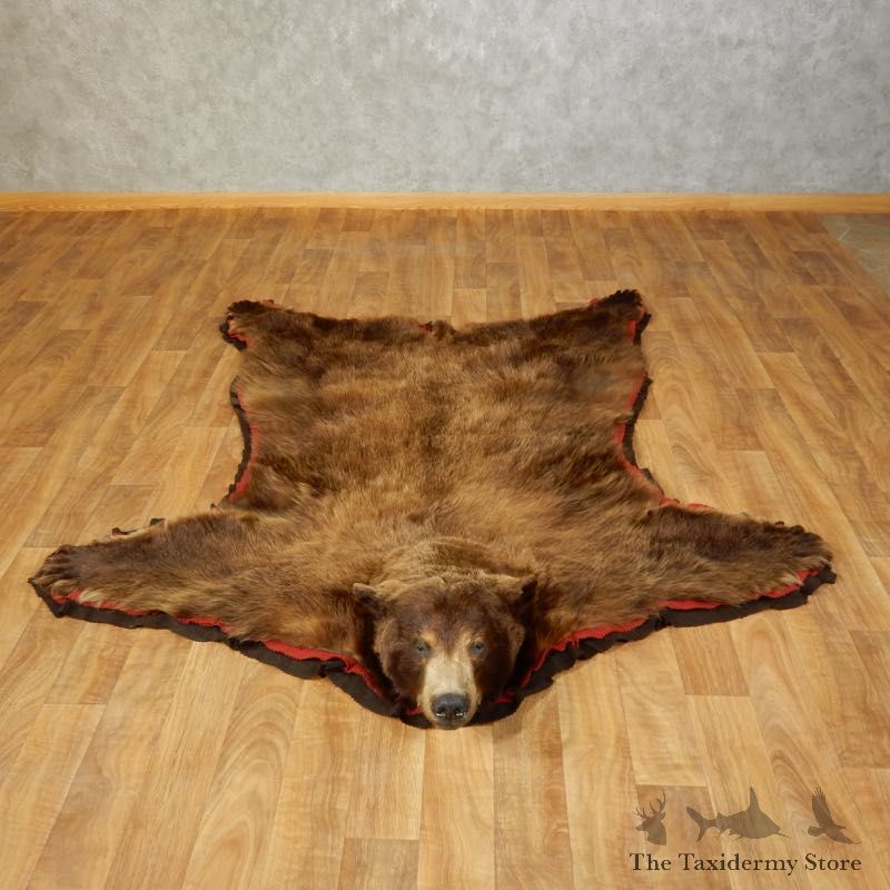 Black Bear Full-Size Rug For Sale #17260 @ The Taxidermy Store