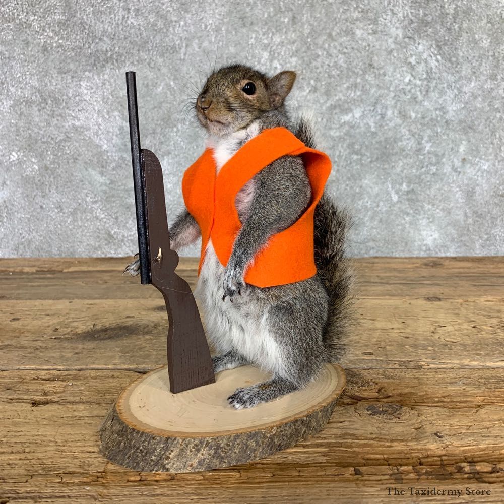 Hunting Squirrel Novelty Mount For Sale #22397 @ The Taxidermy Store