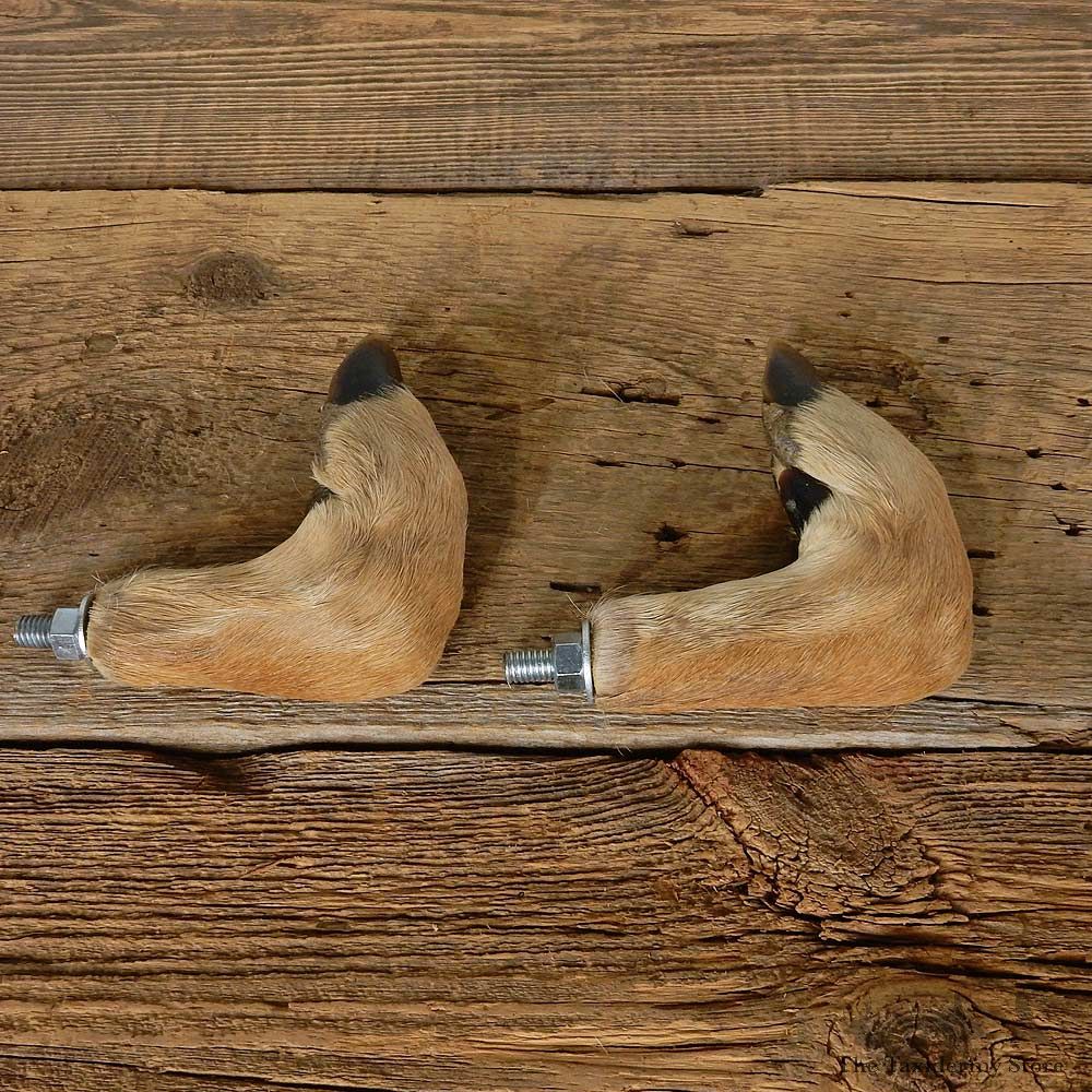 Whitetail Deer Foot Set For Sale #14975 @ The Taxidermy Store