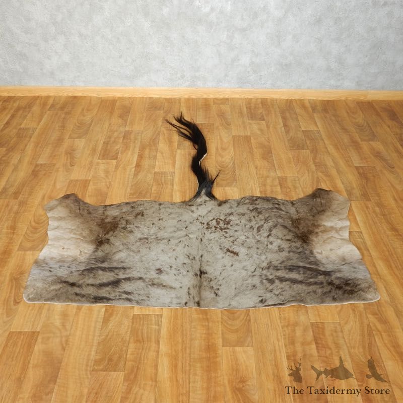 Blue Wildebeest Hide Mount For Sale #17441 @ The Taxidermy Store
