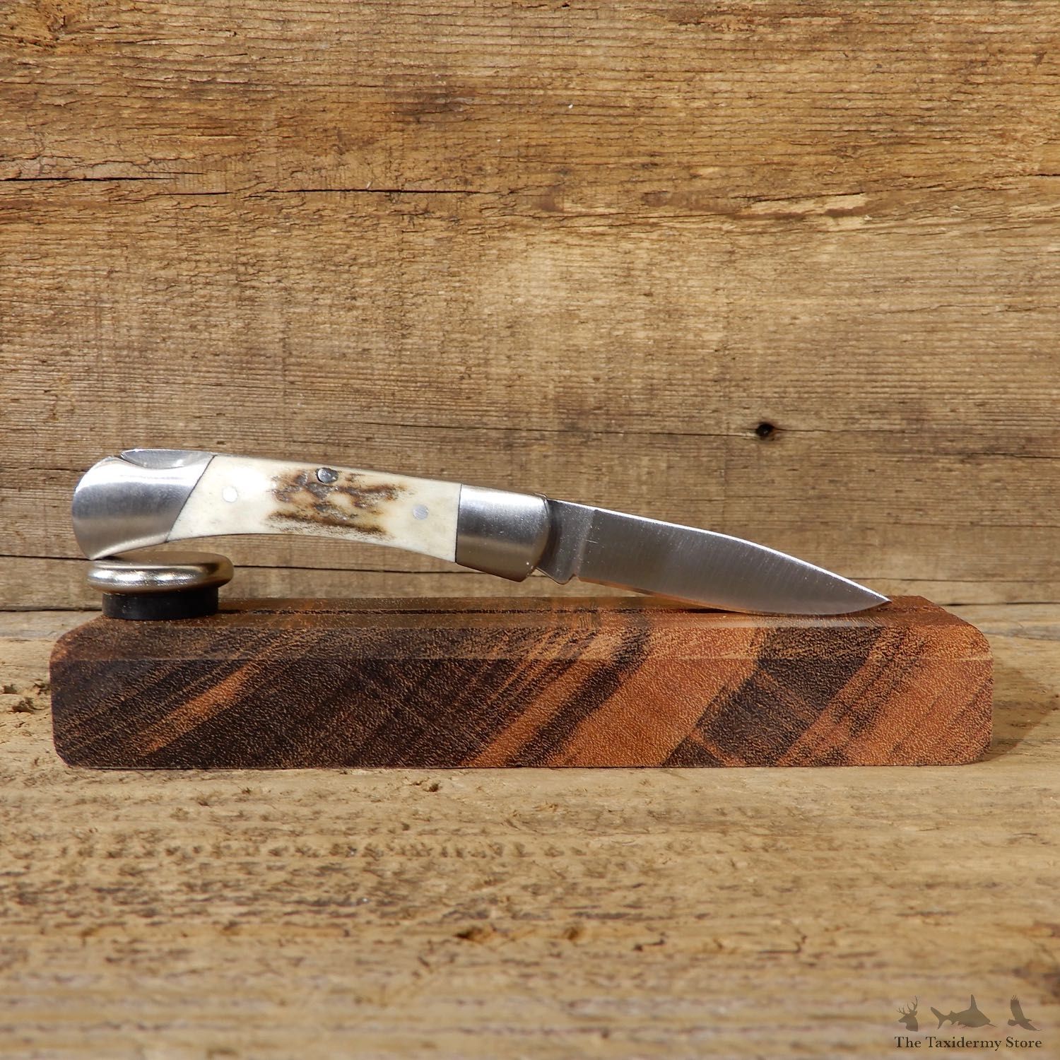Mini Folding Pocket Knife with Elk Antler Handle For Sale #19222 @ The Taxidermy Store