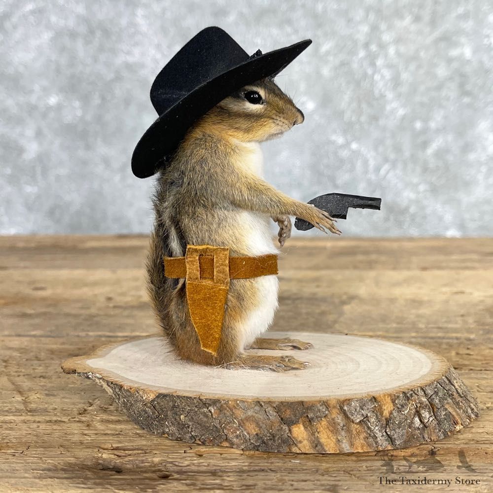 Cowboy Chipmunk Novelty Mount For Sale #24057 @ The Taxidermy Store