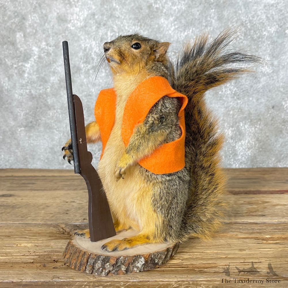 Hunting Squirrel Novelty Mount For Sale #25022 @ The Taxidermy Store