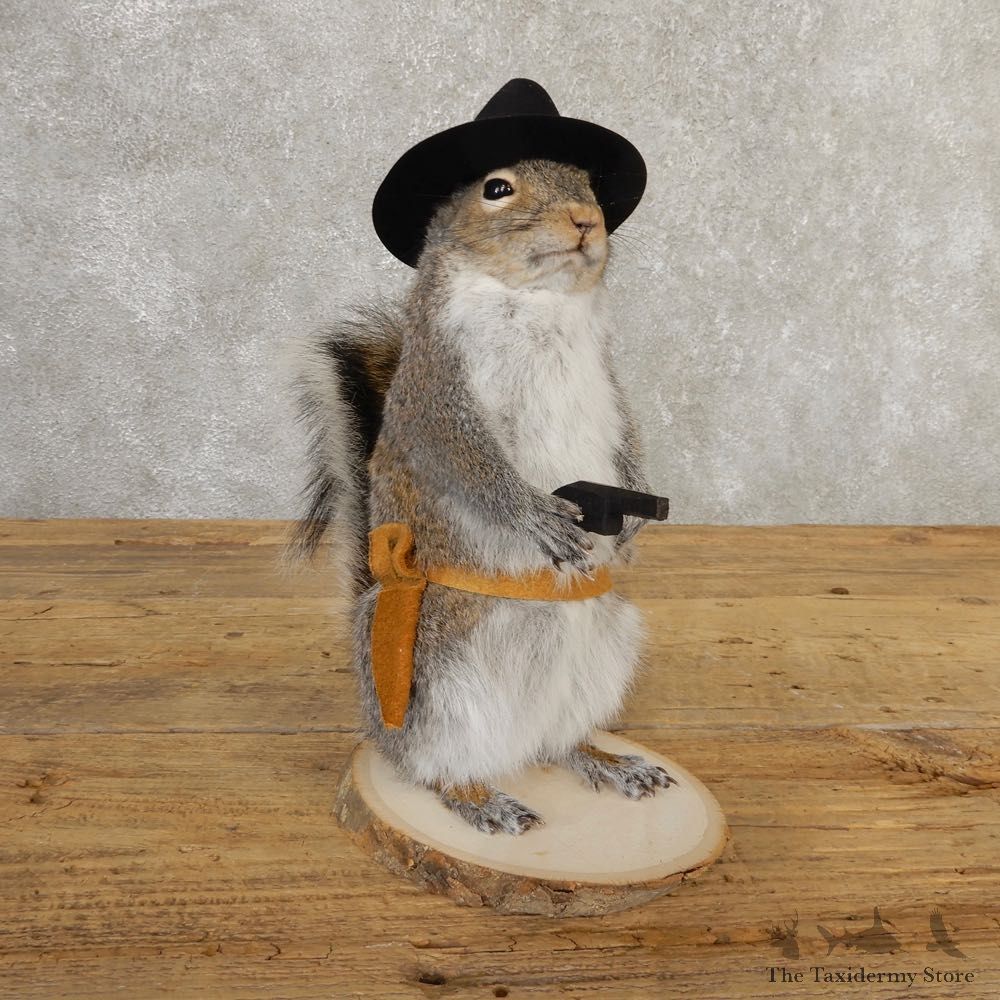 Cowboy Squirrel Novelty Mount For Sale #20720 @ The Taxidermy Store