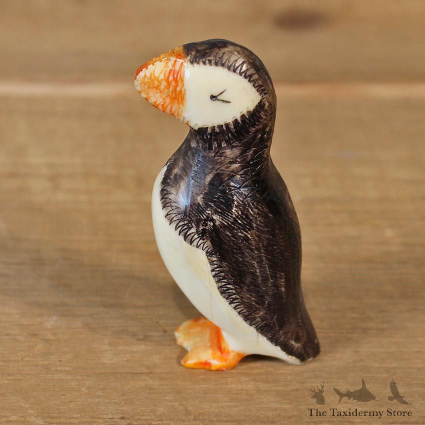 Native Ivory Puffin Figurine #12074 For Sale @ The Taxidermy Store