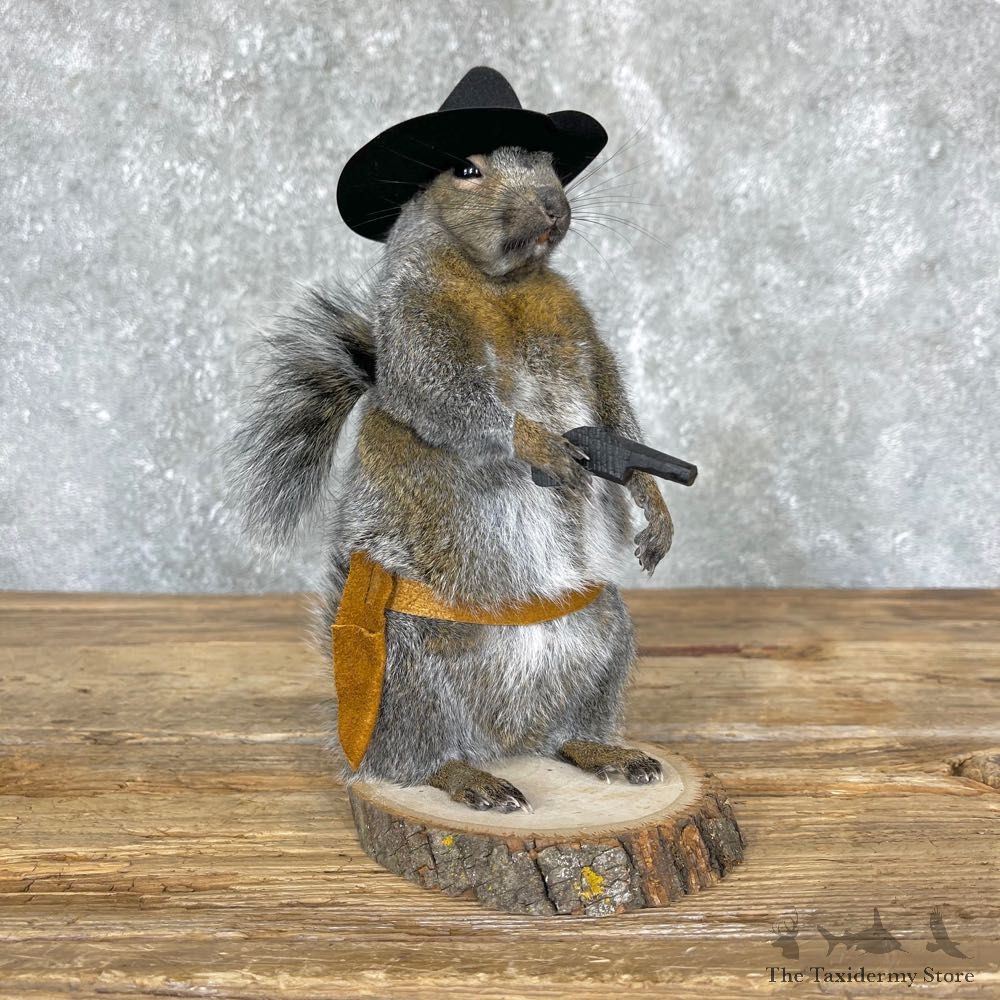 Cowboy Squirrel Novelty Mount For Sale #24357 @ The Taxidermy Store