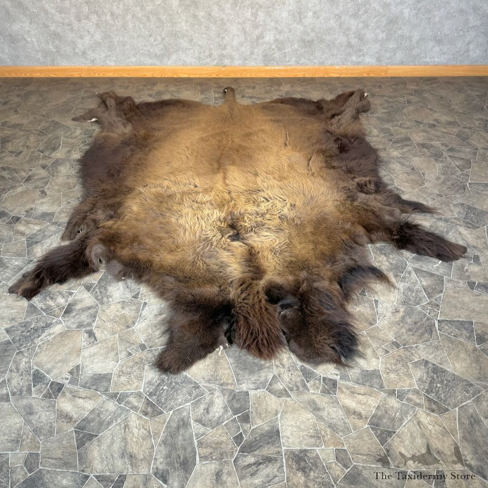 American Buffalo Bison Hide For Sale #28828 - The Taxidermy Store