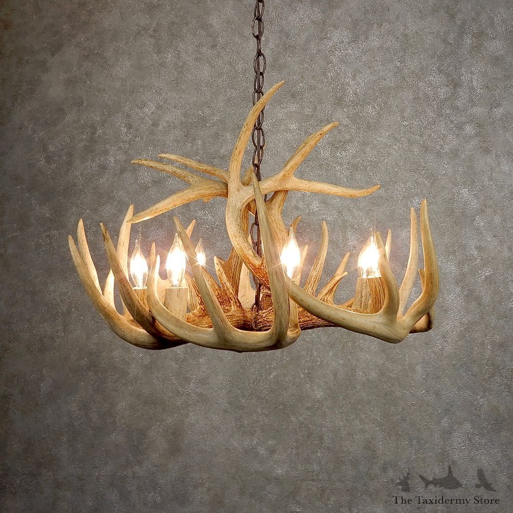 Whitetail Deer Antler Chandelier For Sale #21277 @ The Taxidermy Store