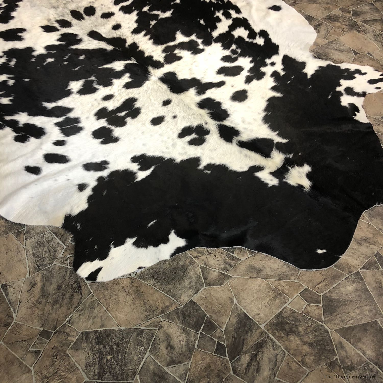Black and White Cowhide Taxidermy Tanned Skin For Sale #20089 @ The Taxidermy Store