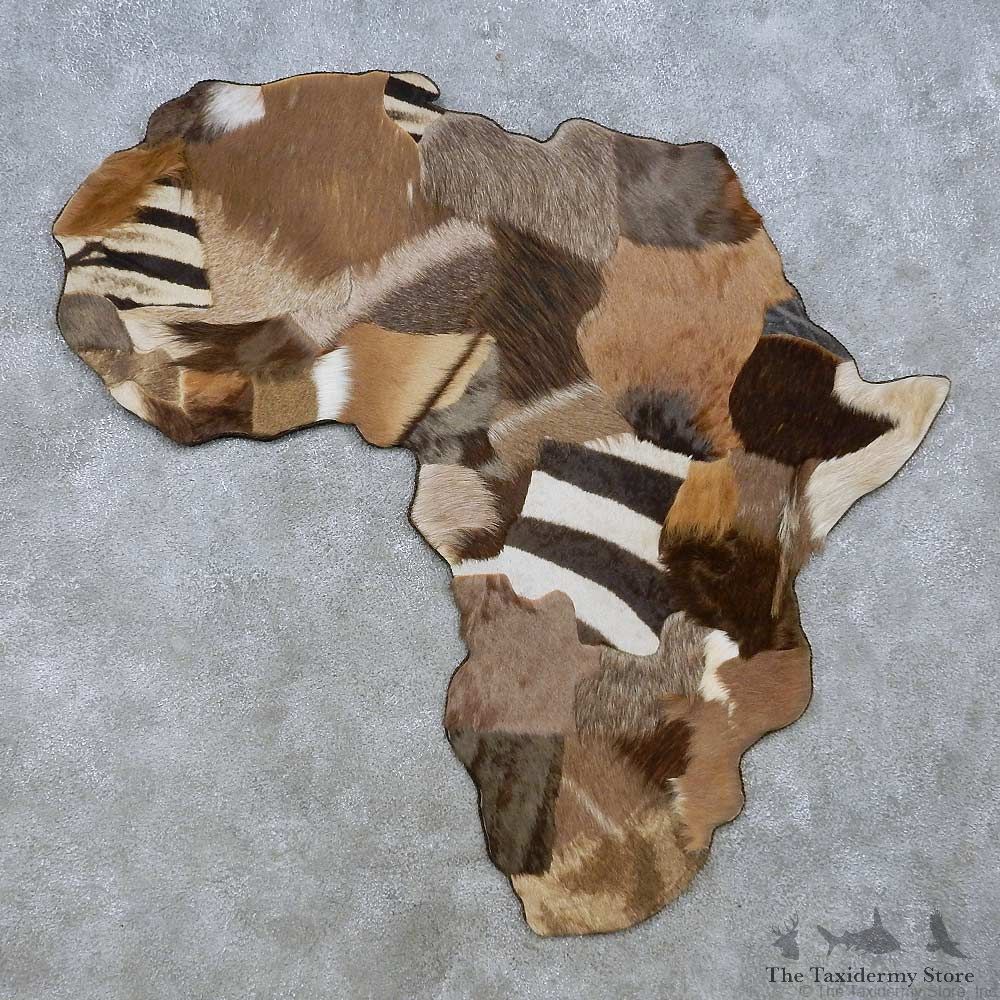 African Continent Wall Decor For Sale #15072 @ The Taxidermy Store