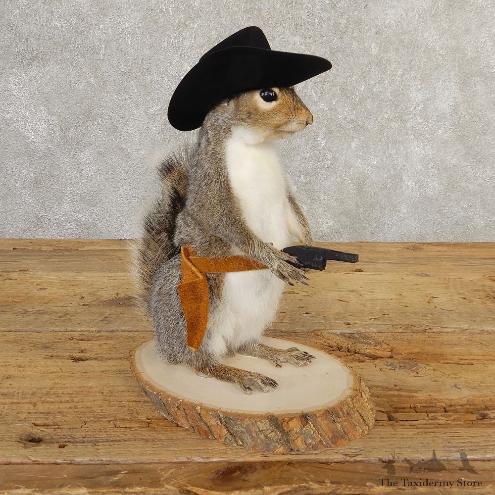 Cowboy Squirrel Novelty Mount For Sale #20733 @ The Taxidermy Store