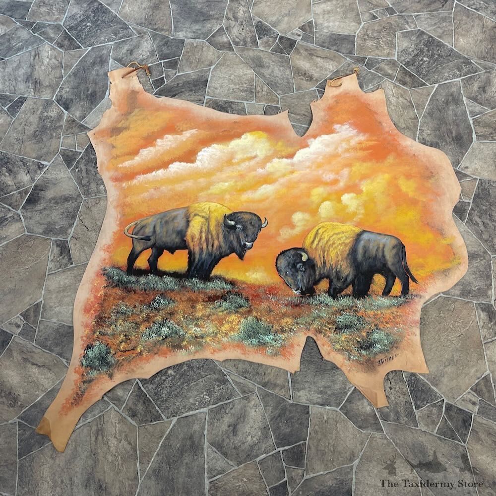 Painted Leather Hide Decor For Sale #27884 @ The Taxidermy Store