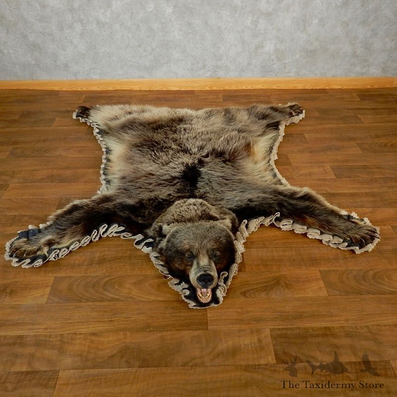Glacier Bear Full-Size Rug For Sale #18206 @ The Taxidermy Store
