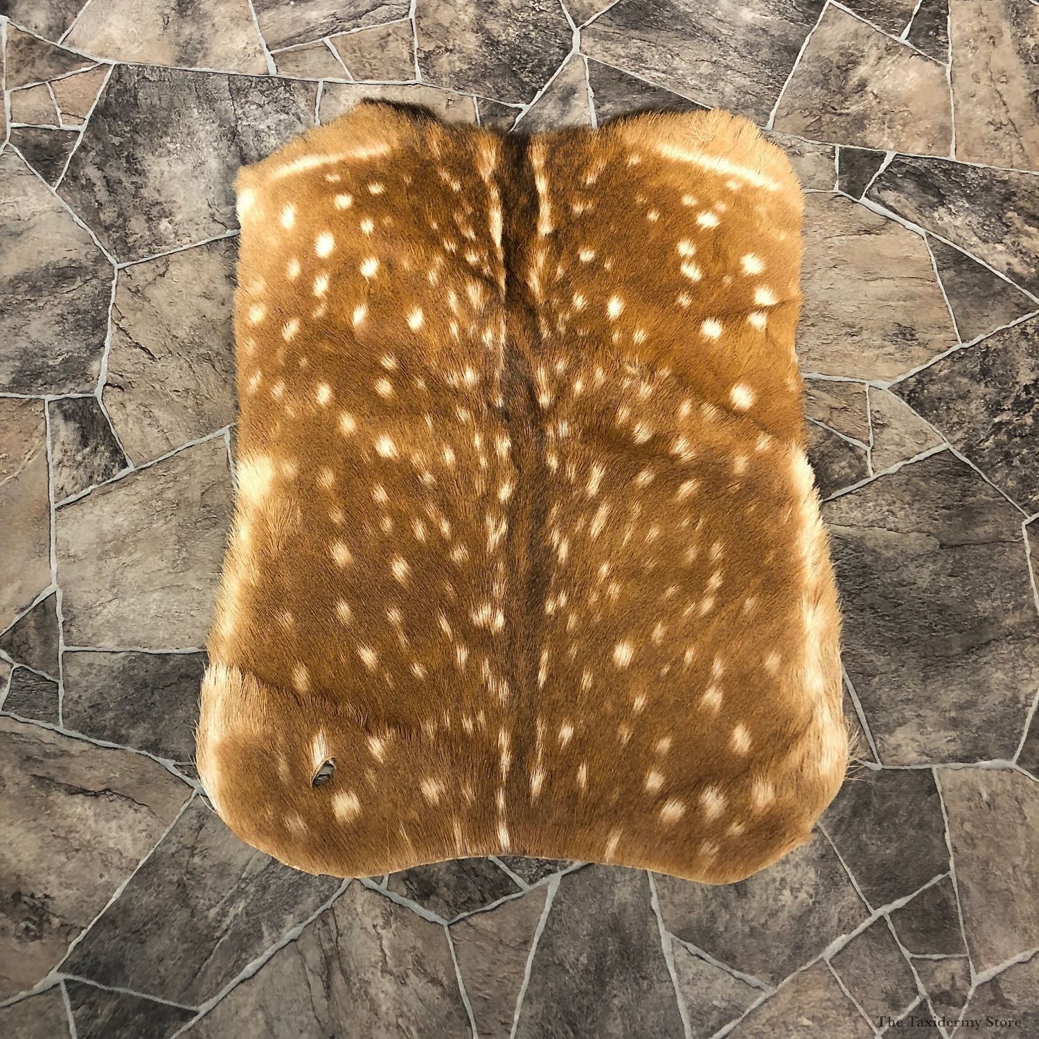 Axis Deer Taxidermy Tanned Skin For Sale #20095 @ The Taxidermy Store