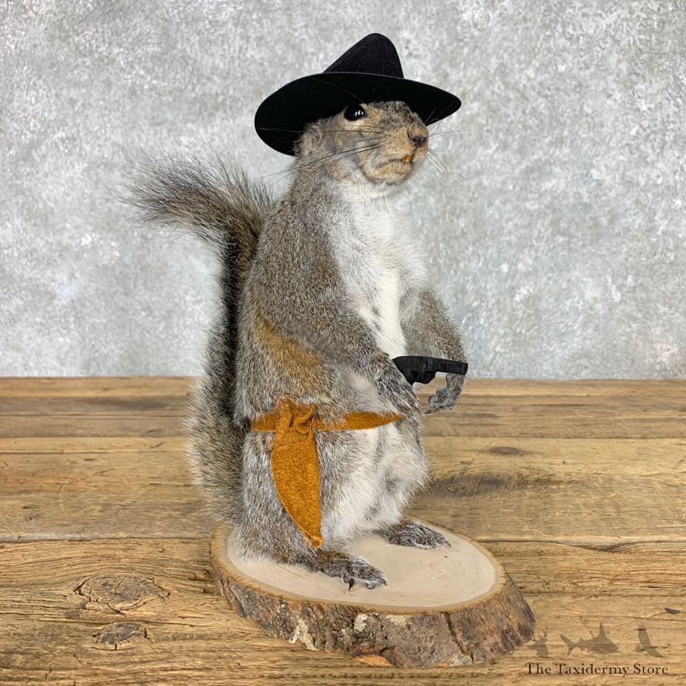 Cowboy Squirrel Novelty Mount For Sale #23458 @ The Taxidermy Store