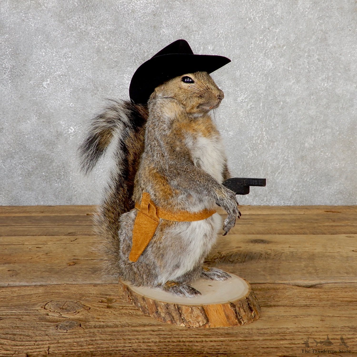 Cowboy Squirrel Novelty Mount For Sale #19059 @ The Taxidermy Store