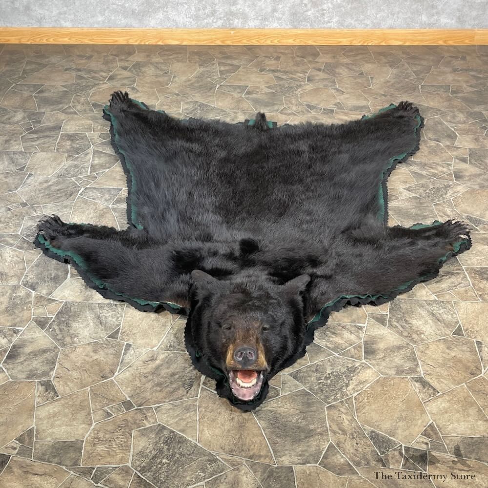 Black Bear Full-Size Rug For Sale #27851 @ The Taxidermy Store