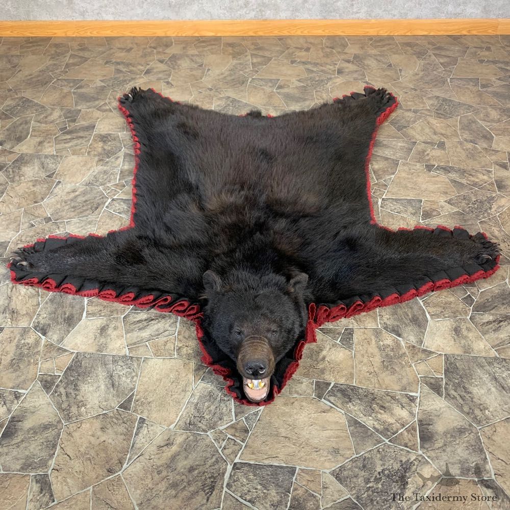 Black Bear Full-Size Rug For Sale #23030 @ The Taxidermy Store