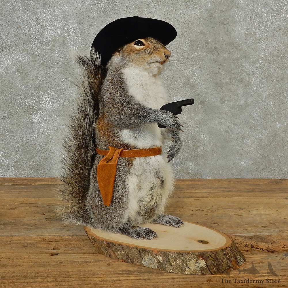Cowboy Squirrel Novelty Mount For Sale #16808 @ The Taxidermy Store