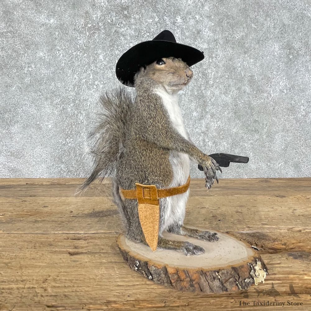 Cowboy Squirrel Novelty Mount For Sale #25542 - The Taxidermy Store