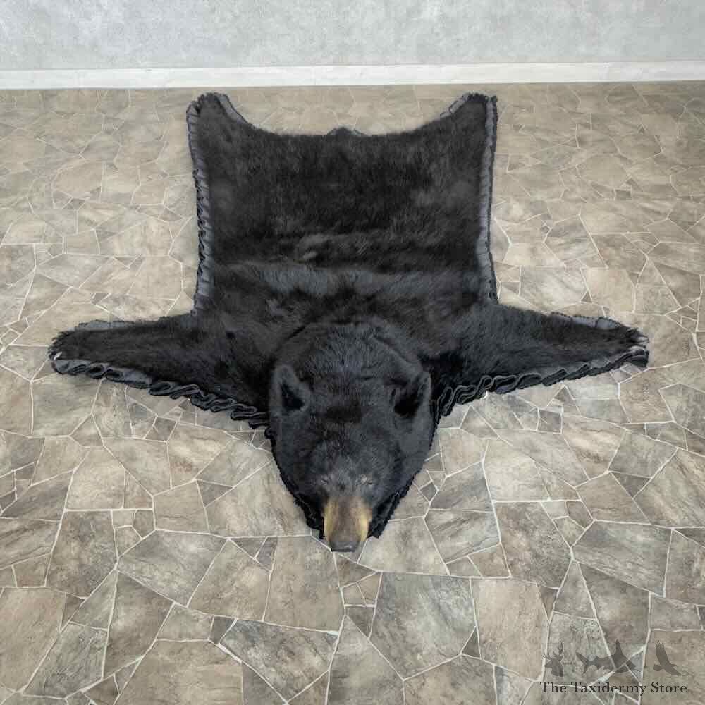 Black Bear Full-Size Rug For Sale #31037 @ The Taxidermy Store