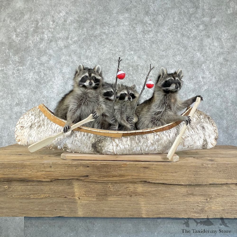 Canoeing Pals Novelty Mount For Sale #26212 @ The Taxidermy Store