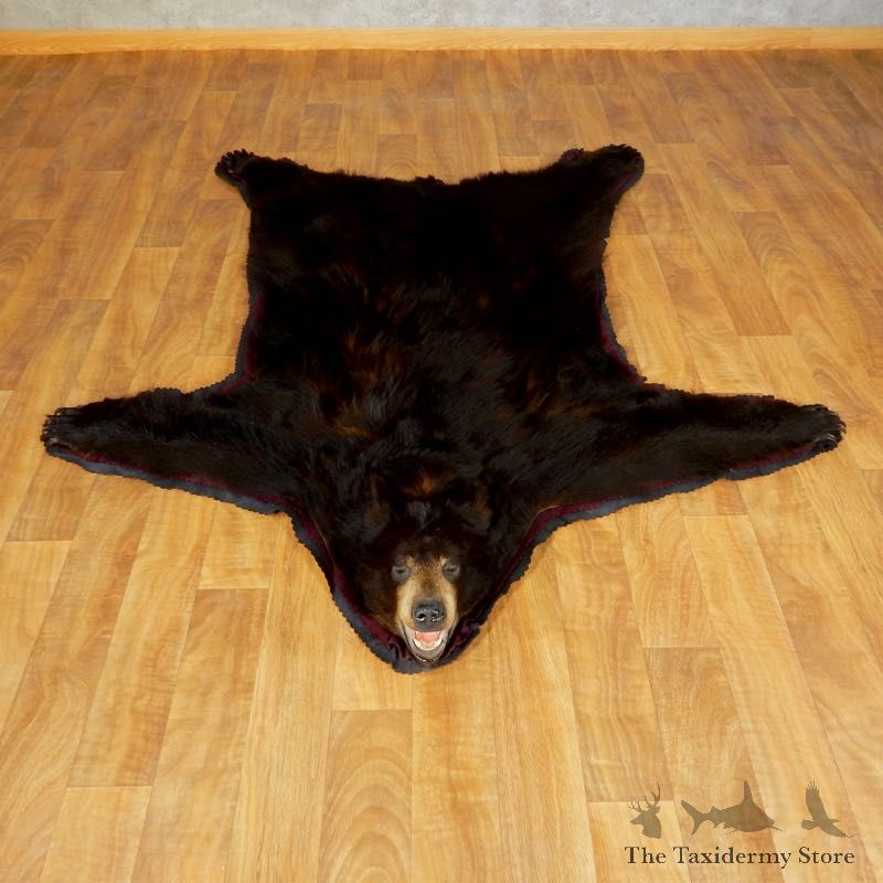 Black Bear Full-Size Rug For Sale #17261 @ The Taxidermy Store