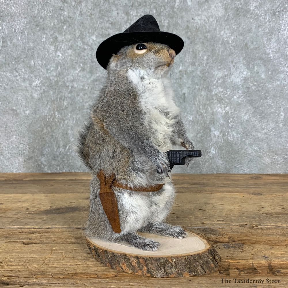 Cowboy Squirrel Novelty Mount For Sale #23049 @ The Taxidermy Store