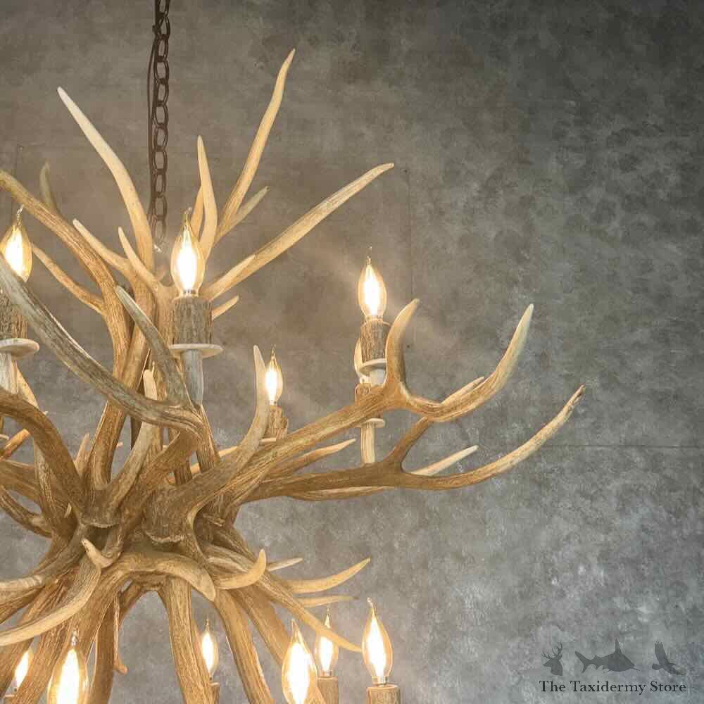 Axis Deer Antler Chandelier For Sale #31643 @ The Taxidermy Store