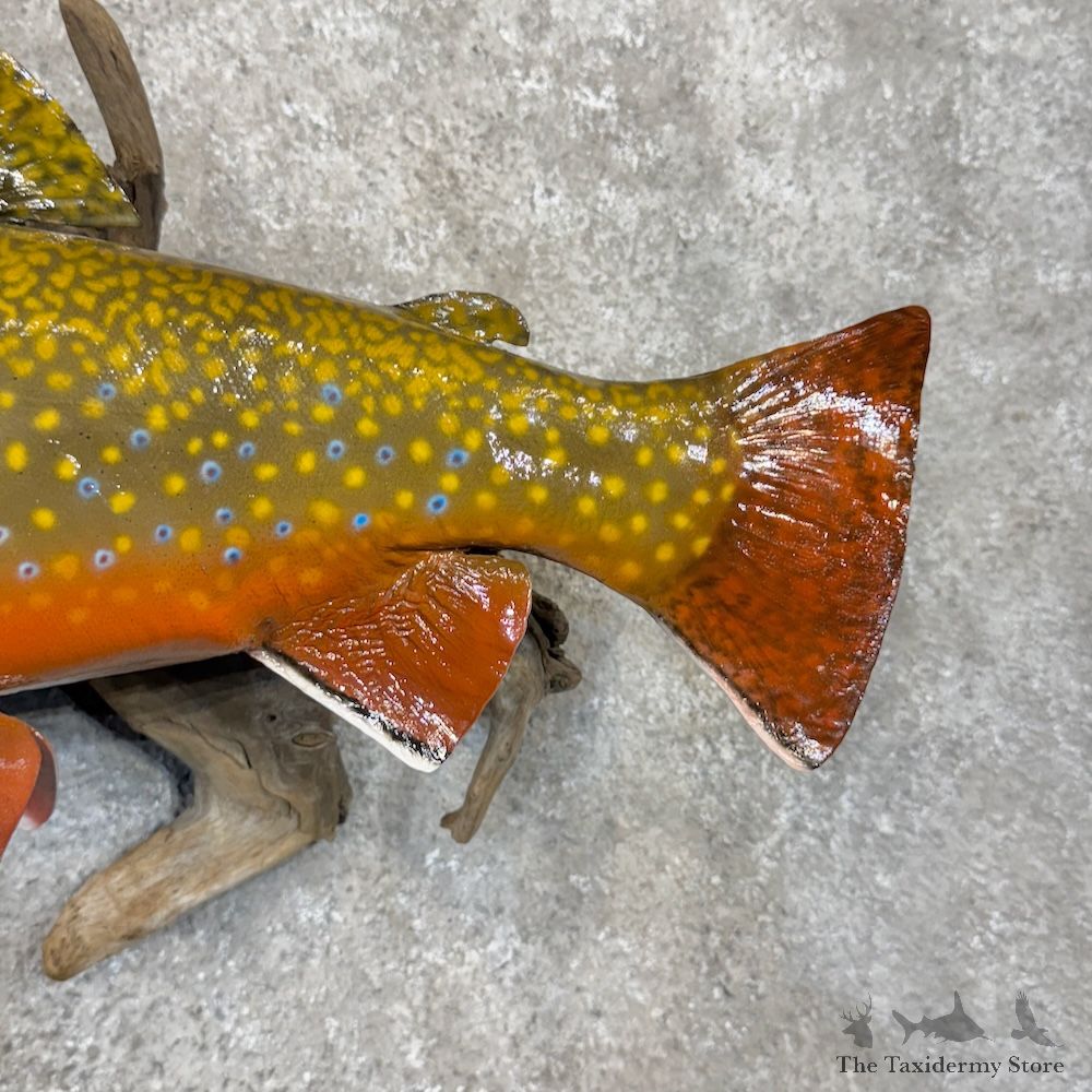 Brook Trout Fish Mount For Sale #29877 @ The Taxidermy Store