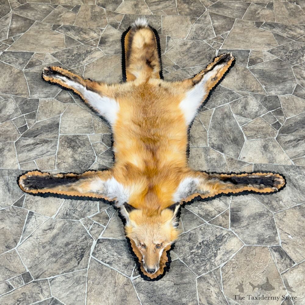 Red Fox Full Rug Mount For Sale #28823 @ The Taxidermy Store