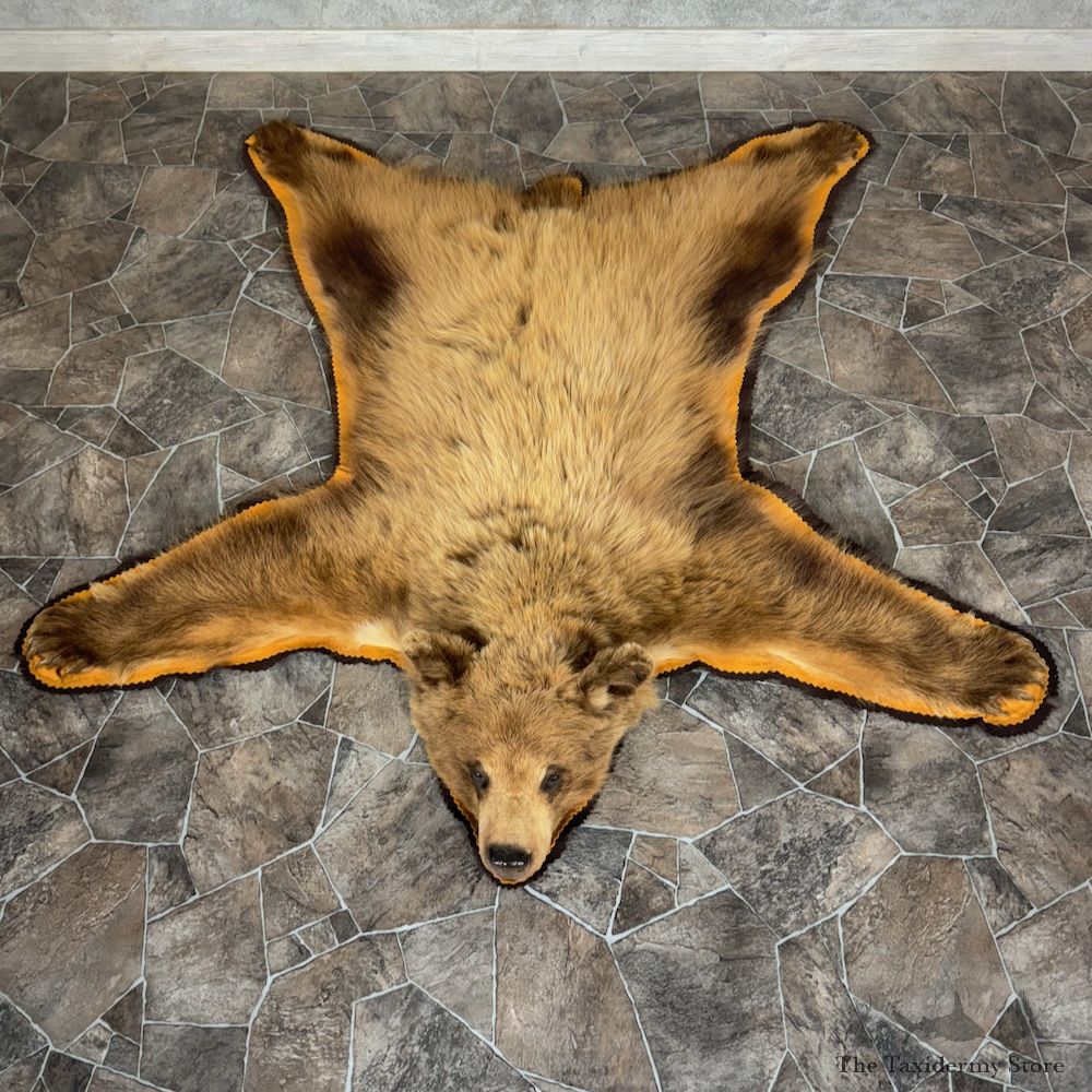 Black Bear Full-Size Rug For Sale #29309 @ The Taxidermy Store