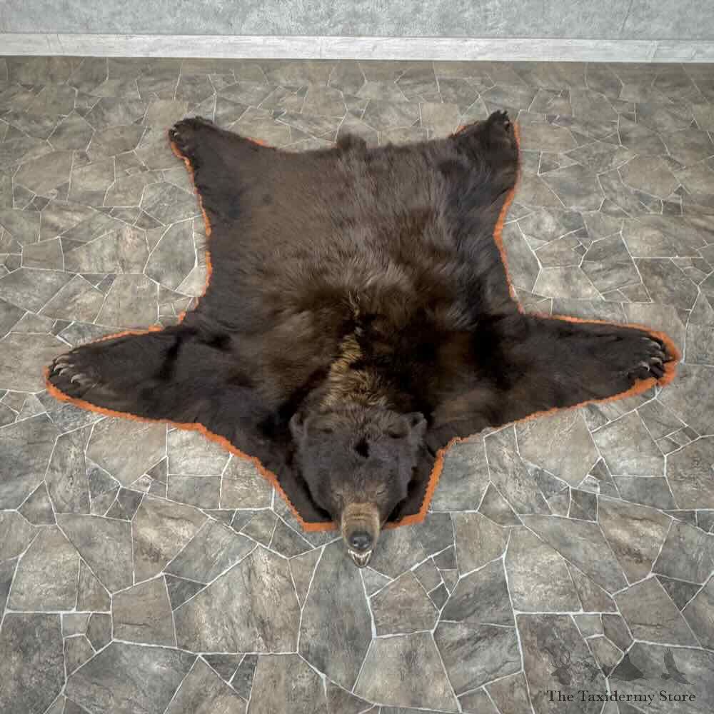 Cinnamon Black Bear Full Size Rug For Sale #31880 @ The Taxidermy Store