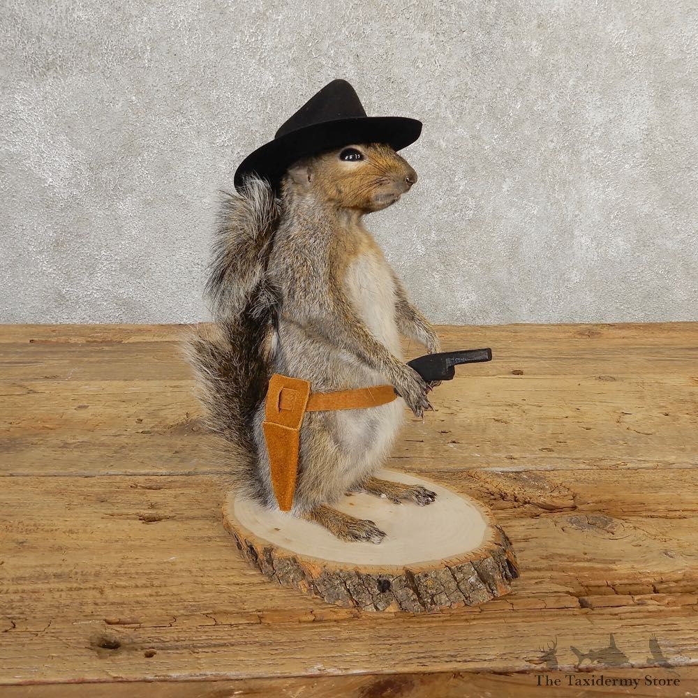 Cowboy Squirrel Novelty Mount For Sale #20713 @ The Taxidermy Store