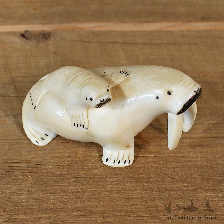 Native Ivory Walrus Figurine #12063 For Sale @ The Taxidermy Store