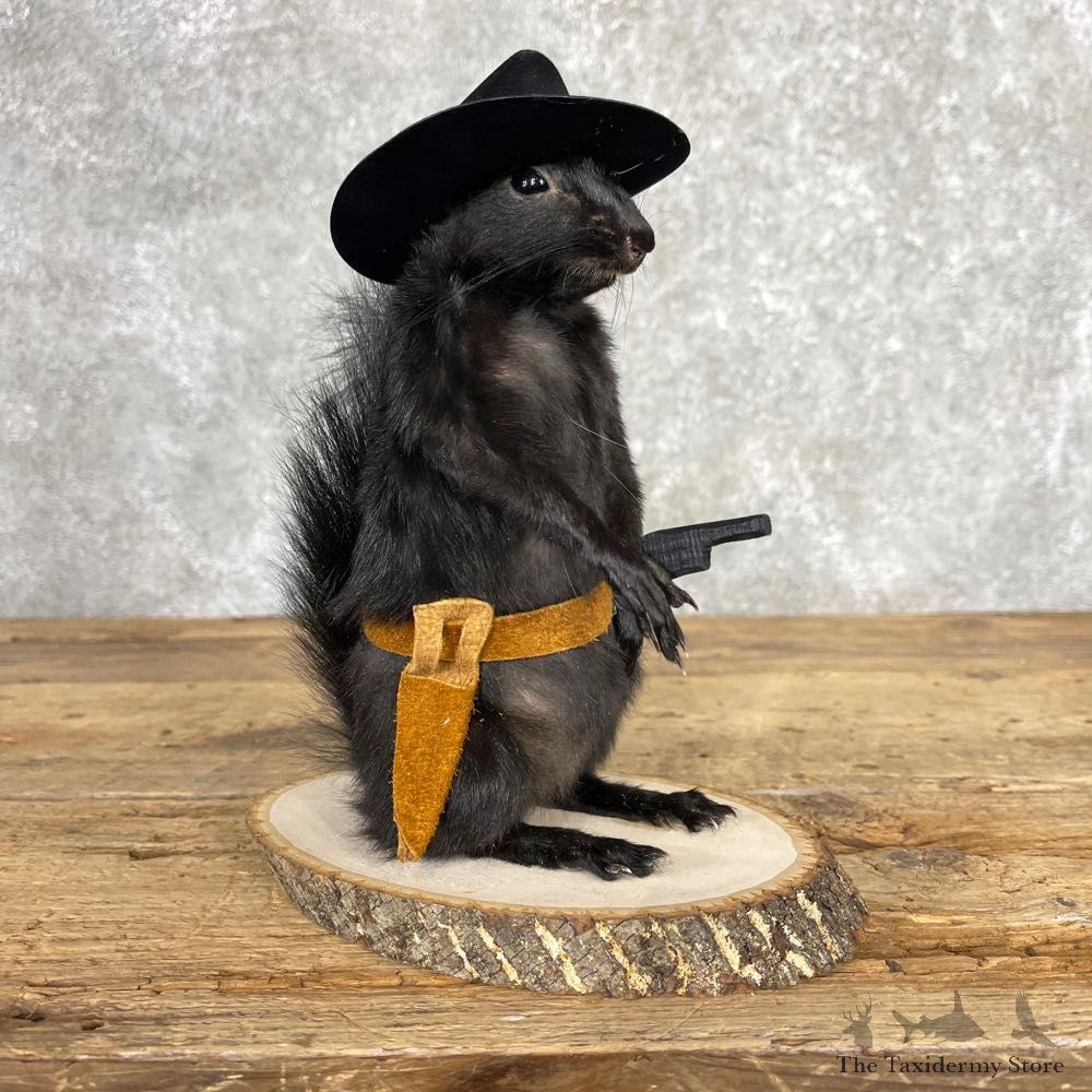 Cowboy Squirrel Novelty Mount For Sale #24063 @ The Taxidermy Store