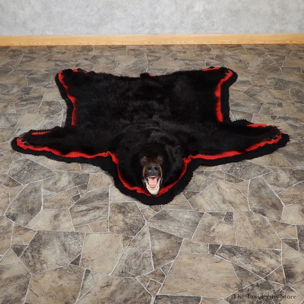 Black Bear Full-Size Rug For Sale #18974 @ The Taxidermy Store