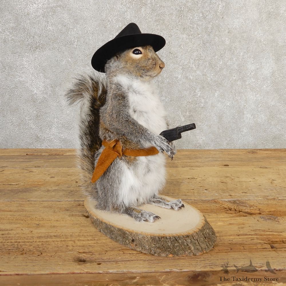 Cowboy Squirrel Novelty Mount For Sale #20721 @ The Taxidermy Store