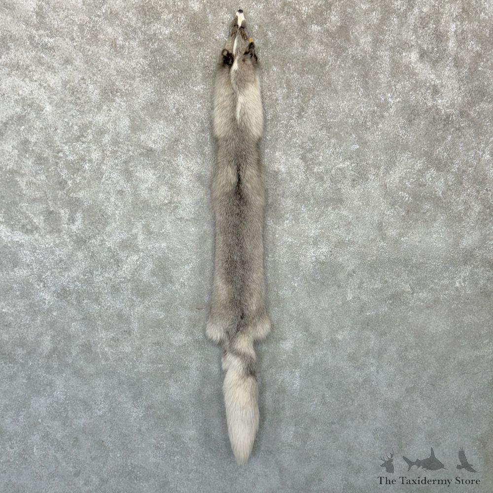 Platinum Fox Tanned Hide For Sale #29745 @ The Taxidermy Store