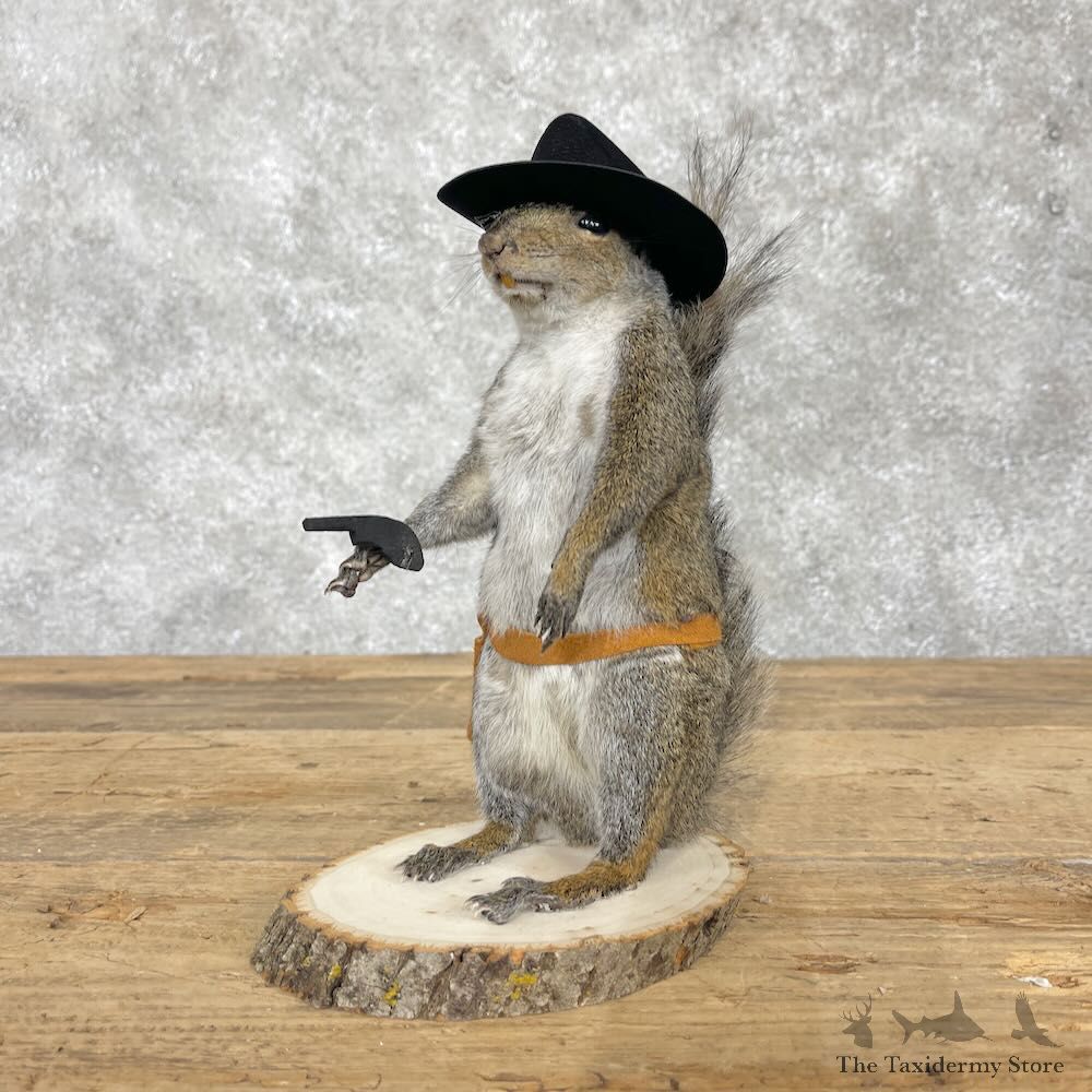 Cowboy Squirrel Novelty Mount For Sale #28599 @ The Taxidermy Store