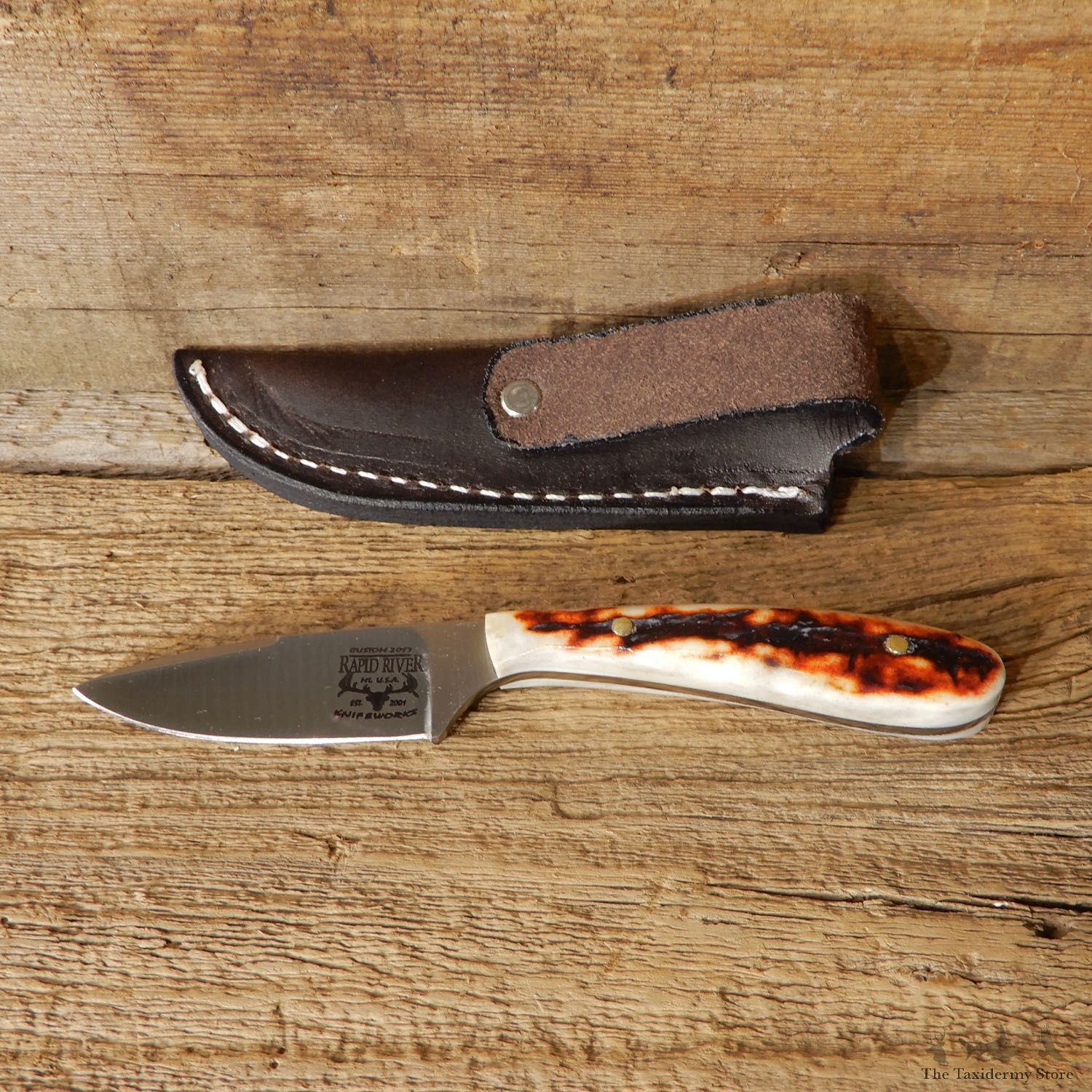 Mini Caper Caping Knife For Sale #19211 @ The Taxidermy Store