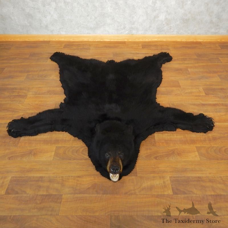 Black Bear Full-Size Rug For Sale #17857 @ The Taxidermy Store